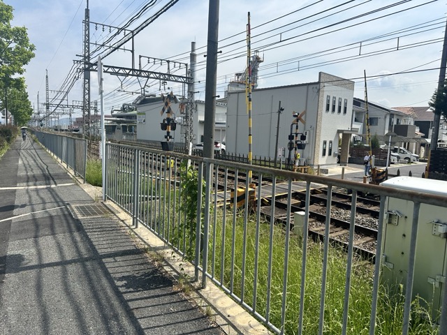 IMG_9125（中）