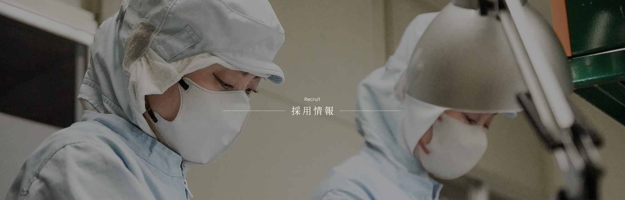 採用情報